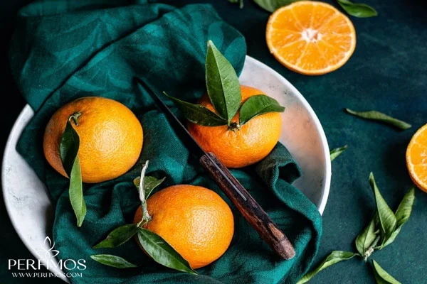 رایحه پاییزی : عطر و ادکلن با رایحه پرتقال